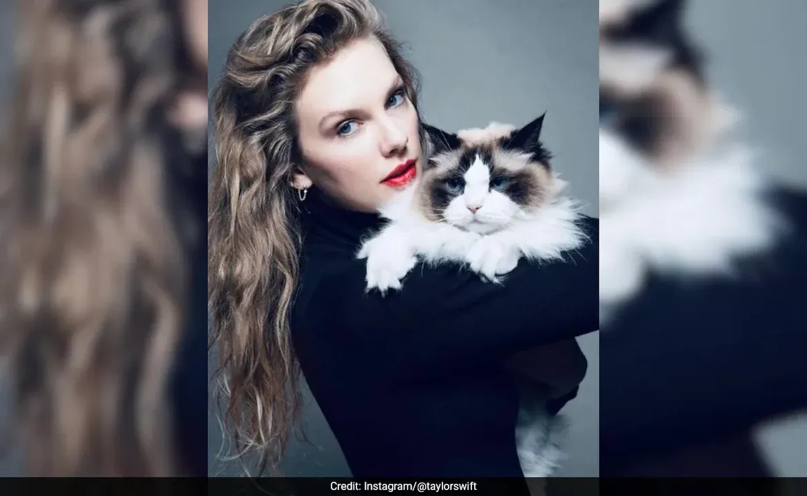 childless-cat-lady-taylor 