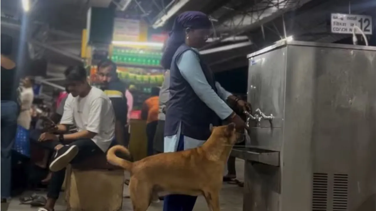 Watch: Thrissur Railway Employee Serves Water To Thirsty Dog, Wins Hearts