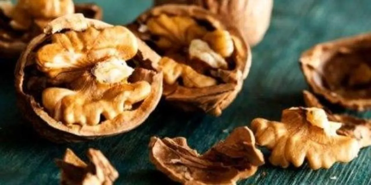 Walnuts, omega 3 fatty acids