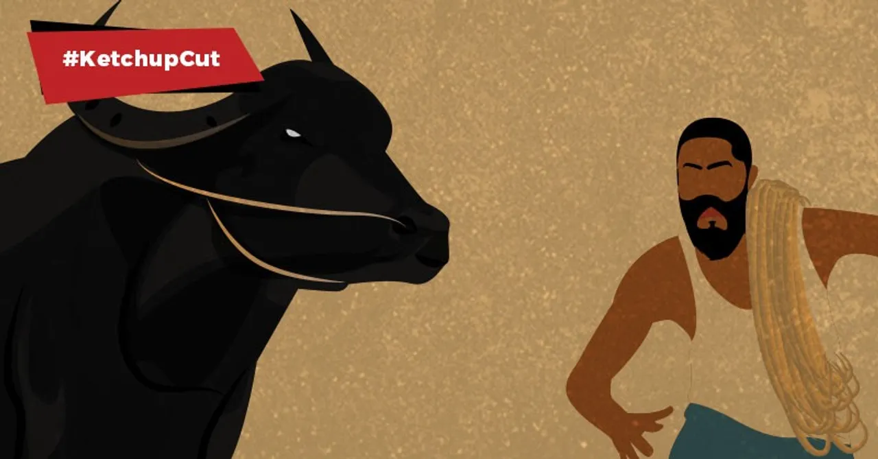 Jallikattu