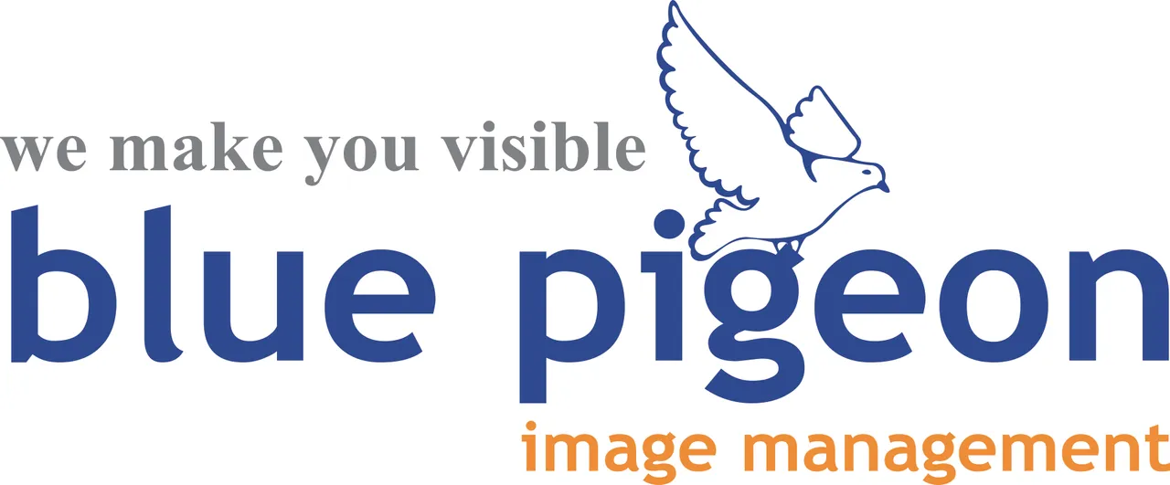 Social Media Agency Feature: Blue Pigeon Image Management - A 360 Degree Branding Agency