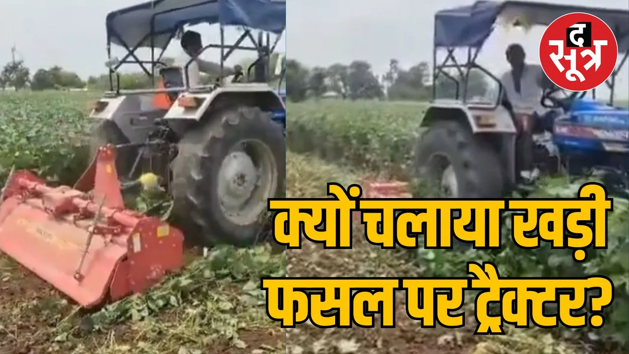 MP Mandsaur farmer drives tractor on soybean crop