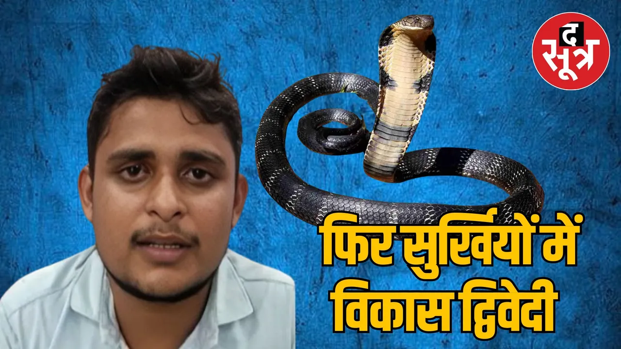 CMO report on snake bite case in Fatehpur Vikas