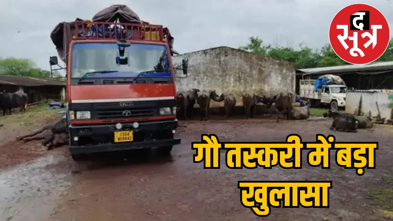 Cattle taken slaughterhouse meeting with constable