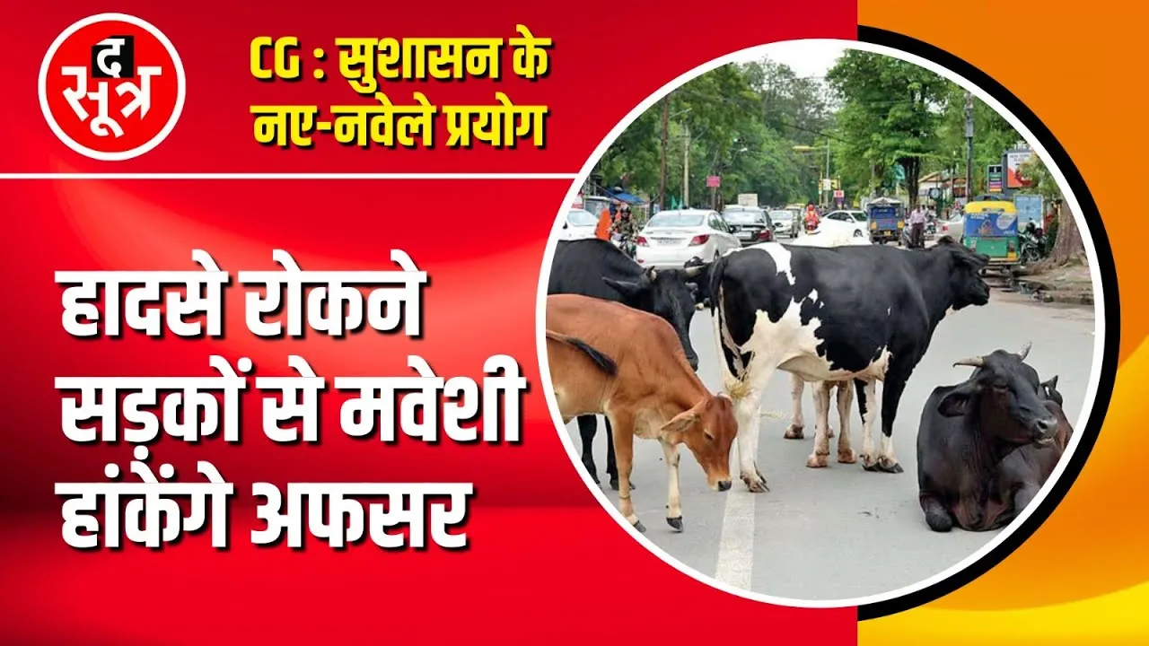 CG News | सड़क बनाने EE देंगे सर्टिफिकेट, हादसे रोकने सड़क से मवेशी हांकेंगे अधिकारी