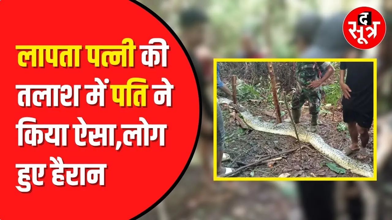 Python eats Woman: अजगर ने 36 साल की एक महिला को खाया