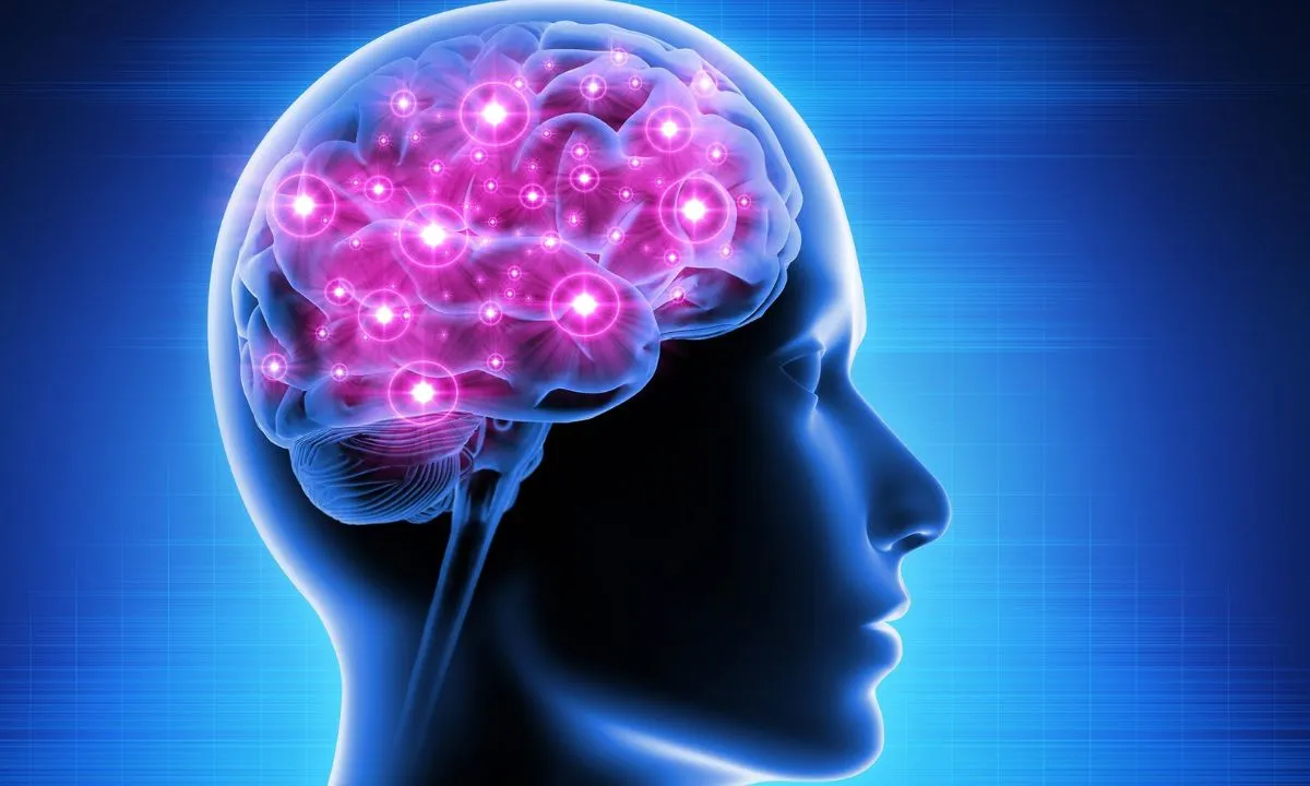  [Source-SciTechDaily] 