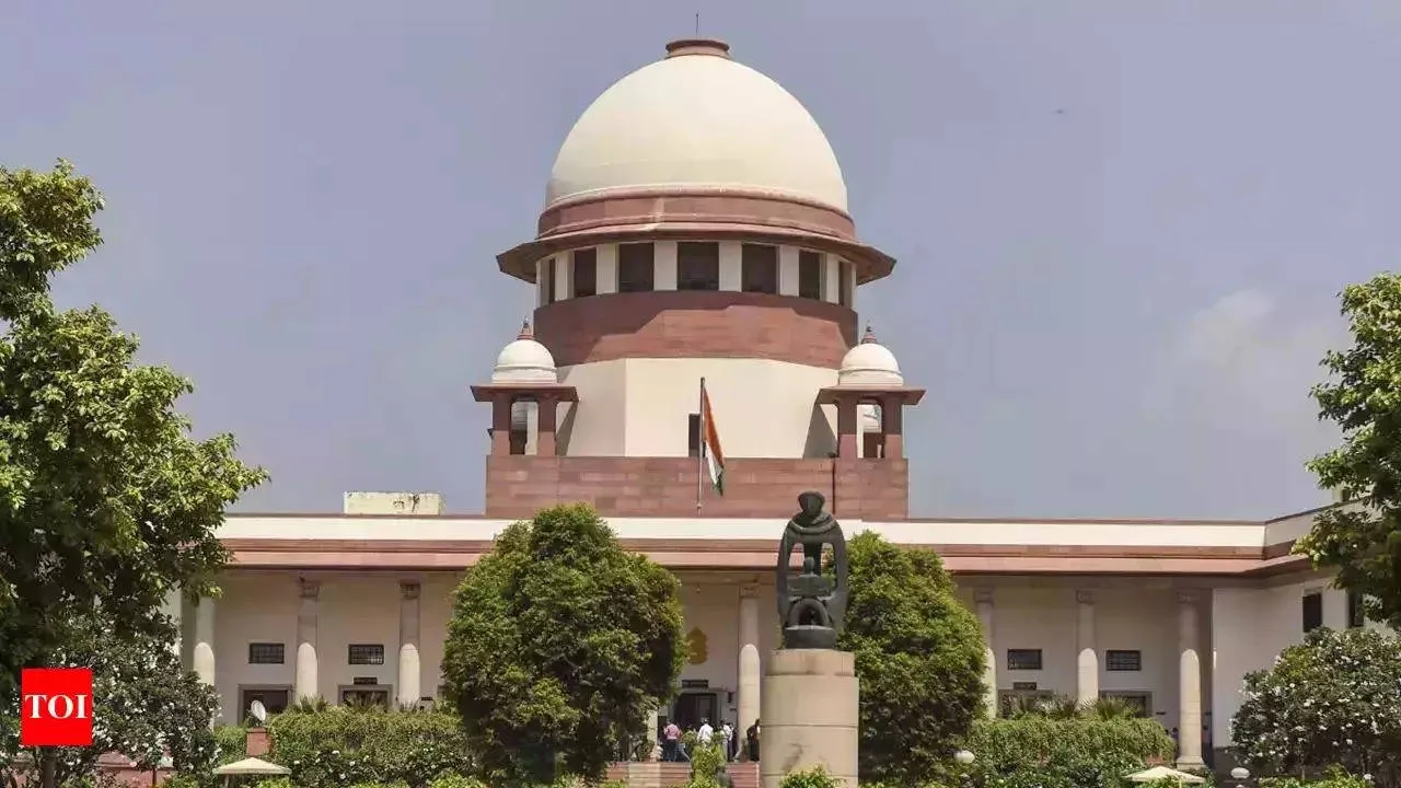  Photograph: (TOI) 