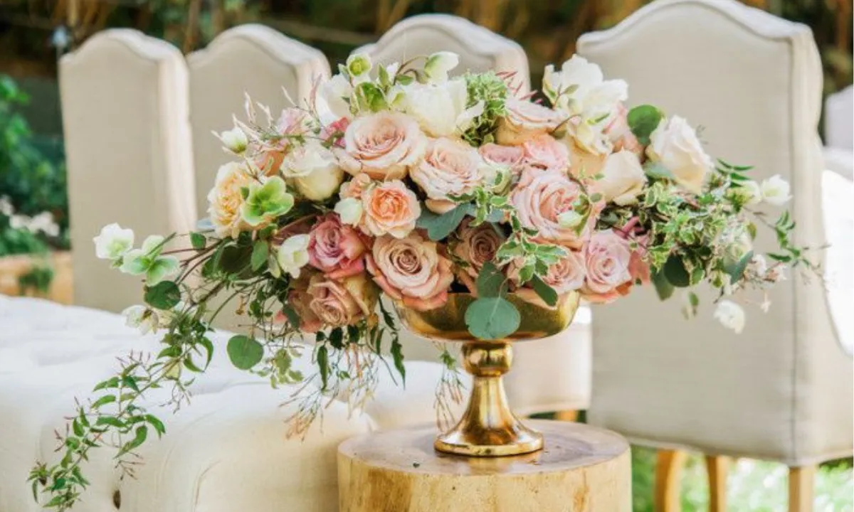  Photograph: (WeddingWire) 