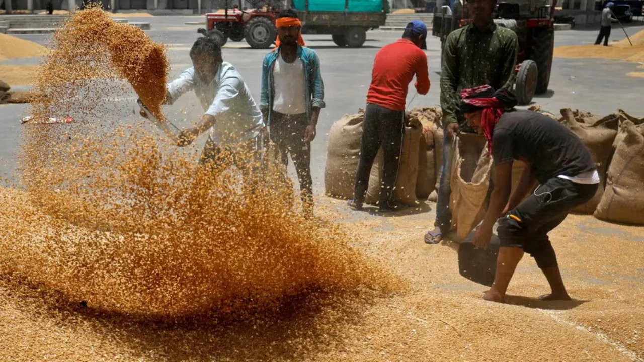  Photograph: (Business Standard) 