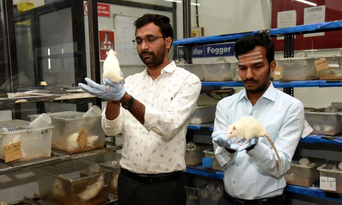  Photograph: (The Hindu) 
