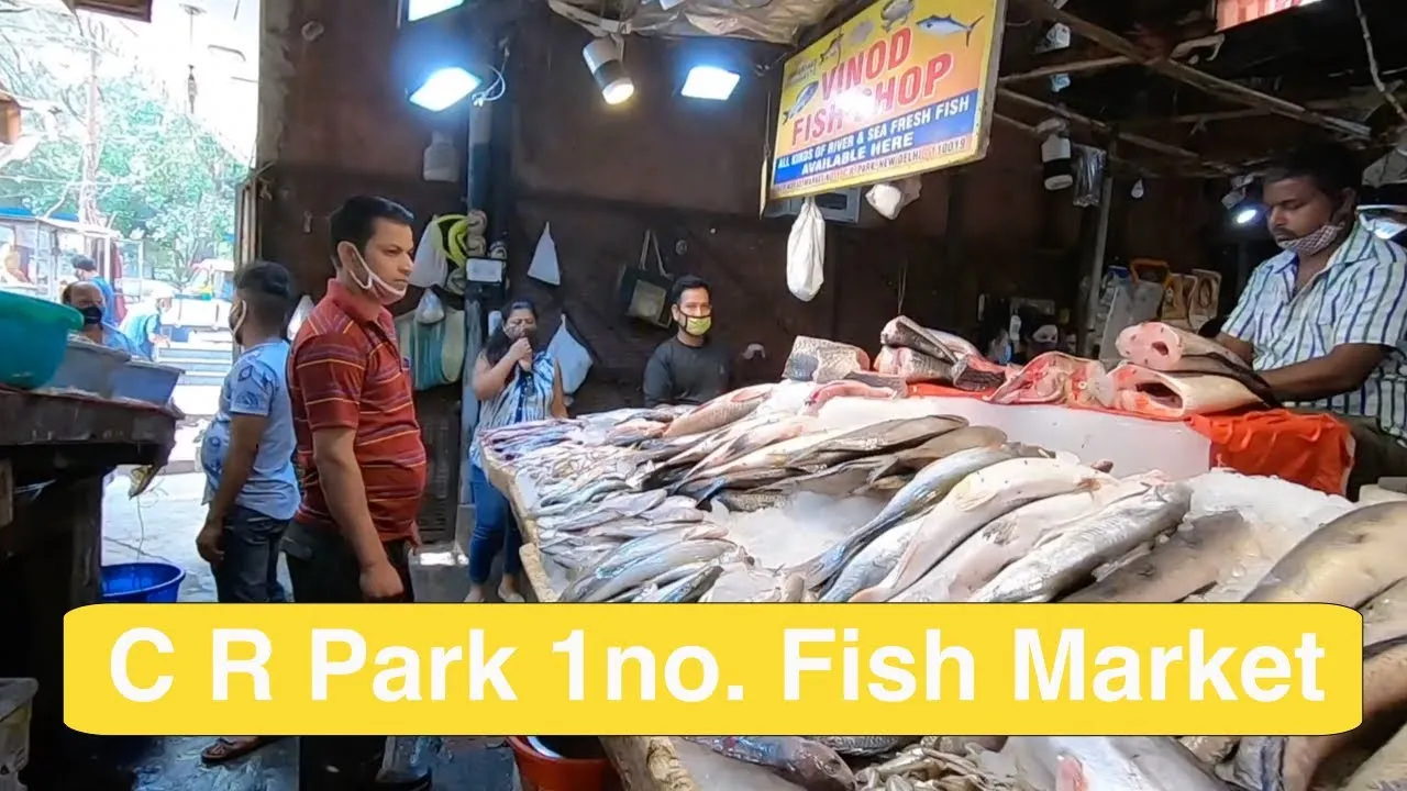 Photograph: (YouTube) 