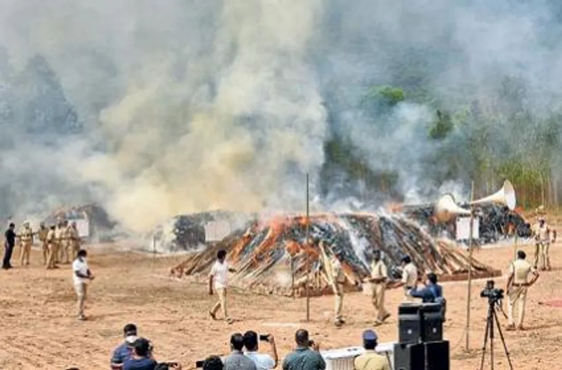  Andhra Pradesh police burns 200 tonnes of Cannabis worth Rs. 500 crore near Vizag