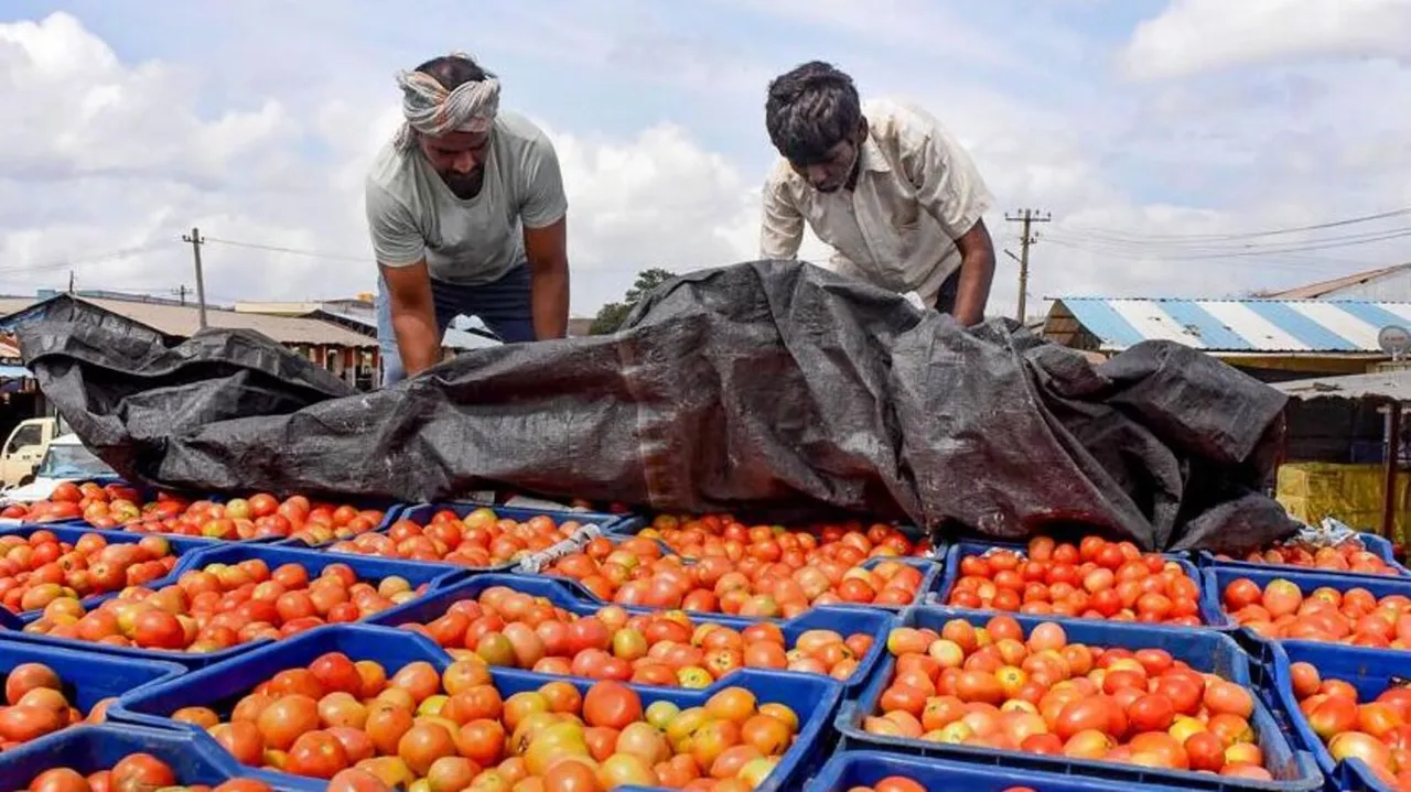  Karnataka farmer buys SUV after selling tomatoes