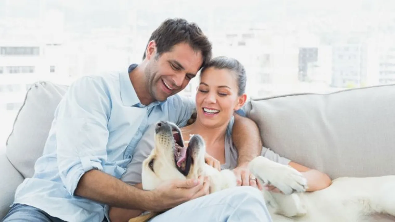  Rs 10,000 registration fee for pet parents in Bengaluru apartment complex