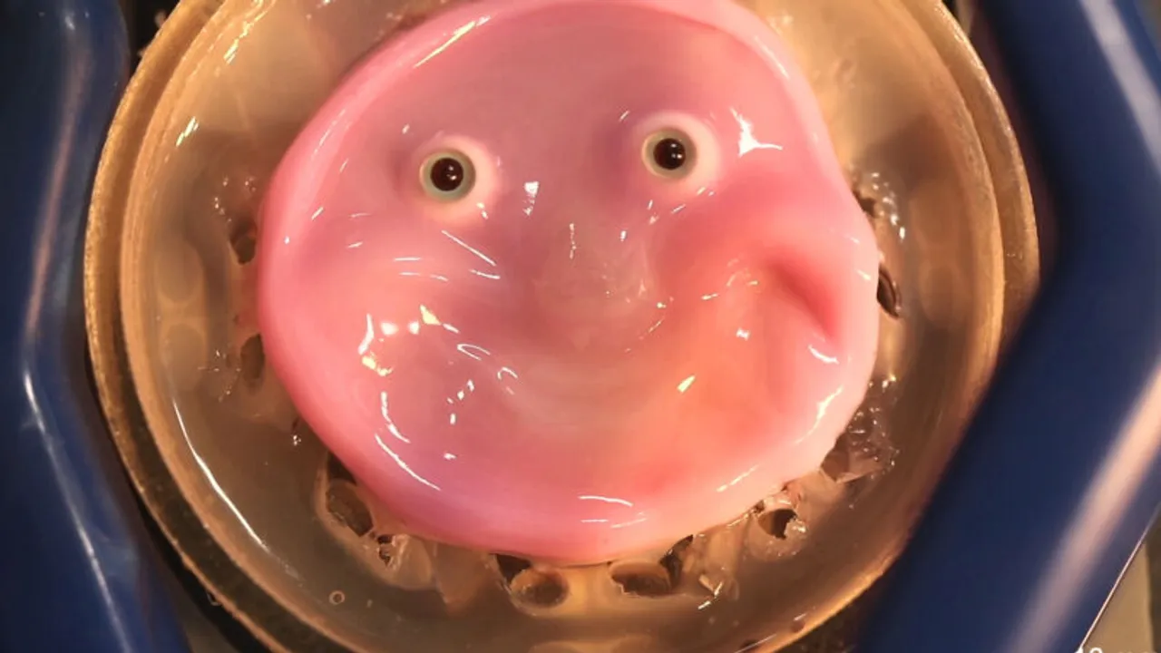  Scientists create smiling robot face using living human skin cells