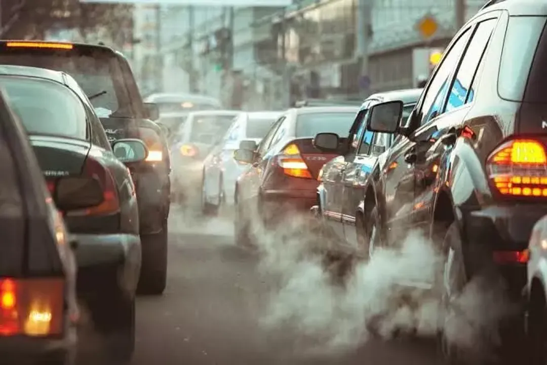  Pollution leading reason for infertility in men and women: Study