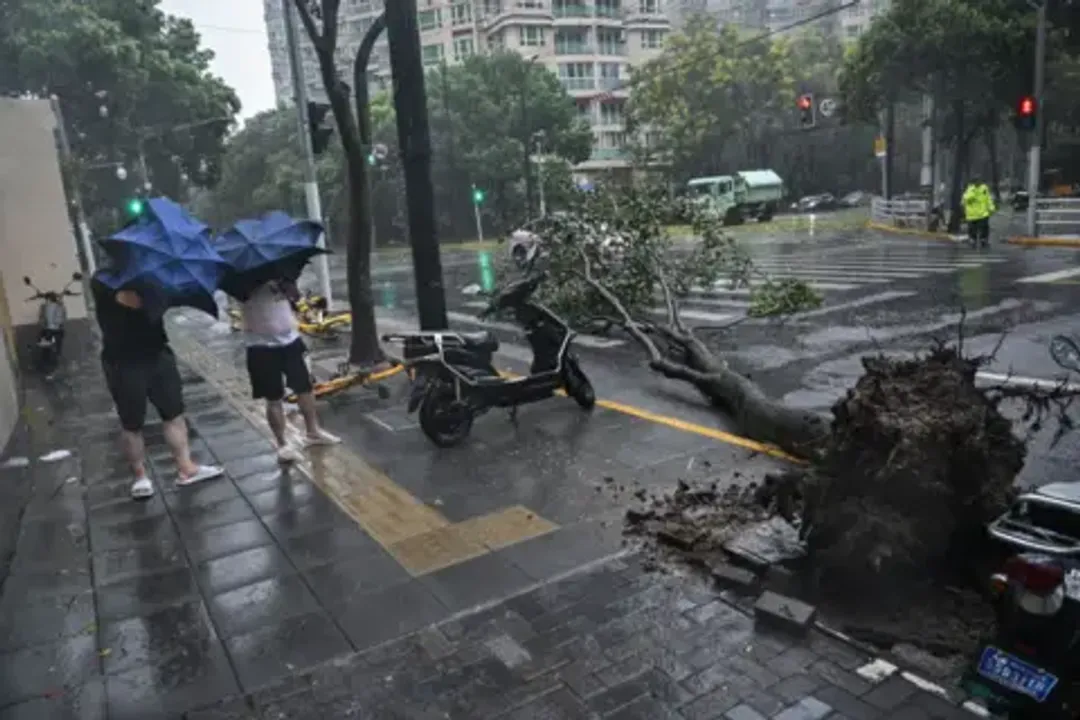  Typhoon Bebinca hits Shanghai, Strongest storm in 75 years