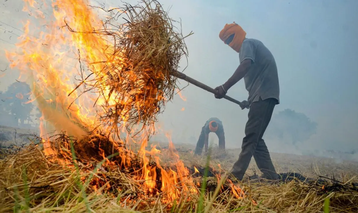  Stubble burning: A lose-lose situation with no silver lining