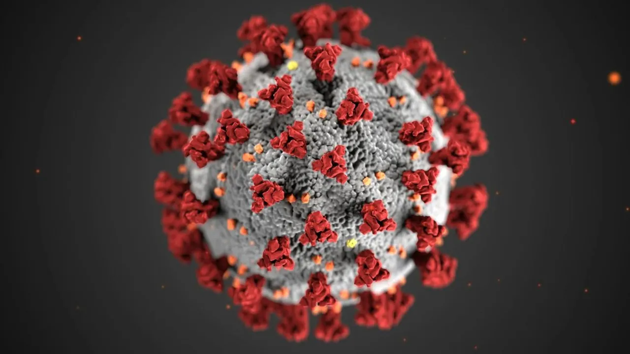  Representative image of a virus  Photograph: (Pexels; CDC) 