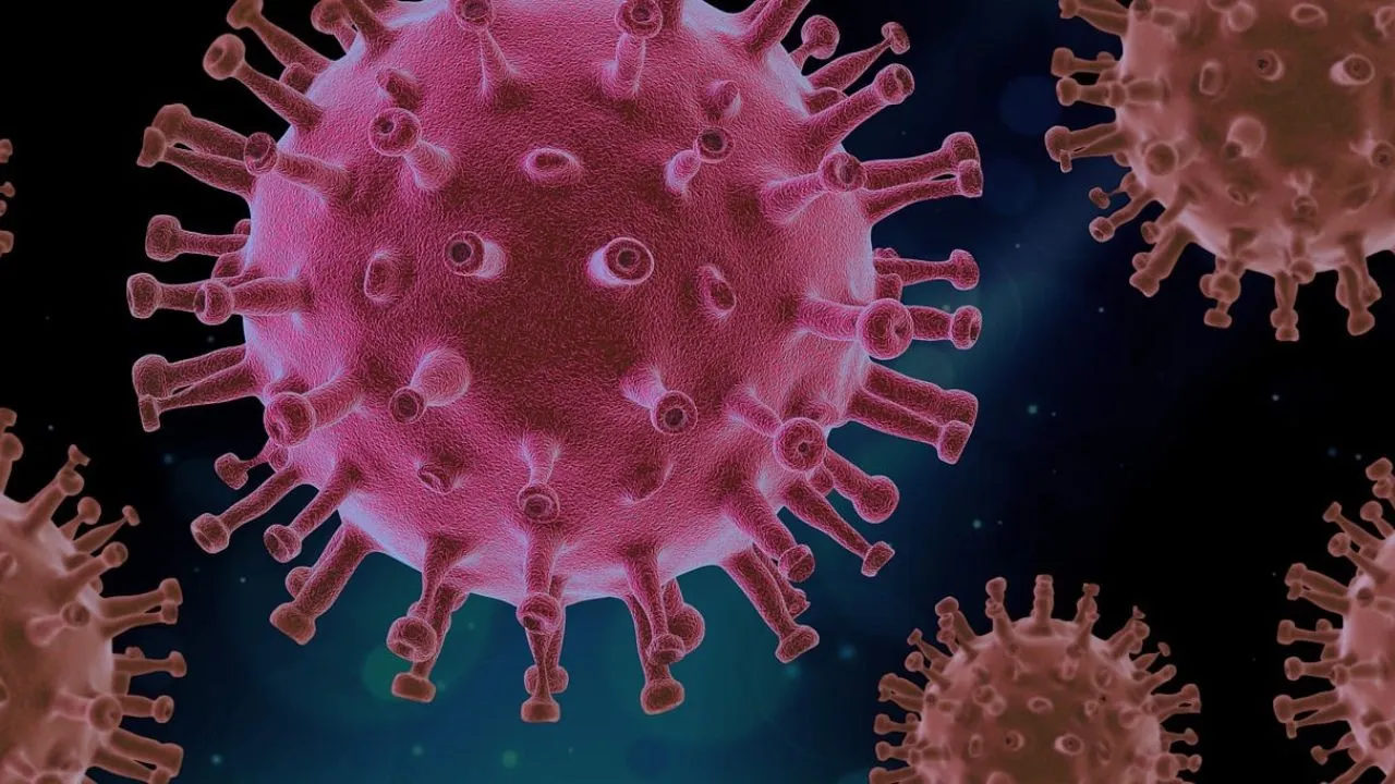  Representative image of virus. Photograph: (Pixabay) 