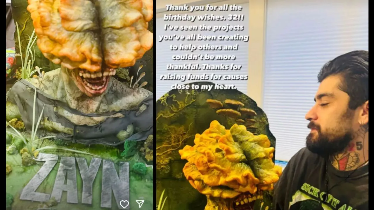 Zayn Malik celebrates 32nd birthday with a CRAZY Last Of Usthemed cake