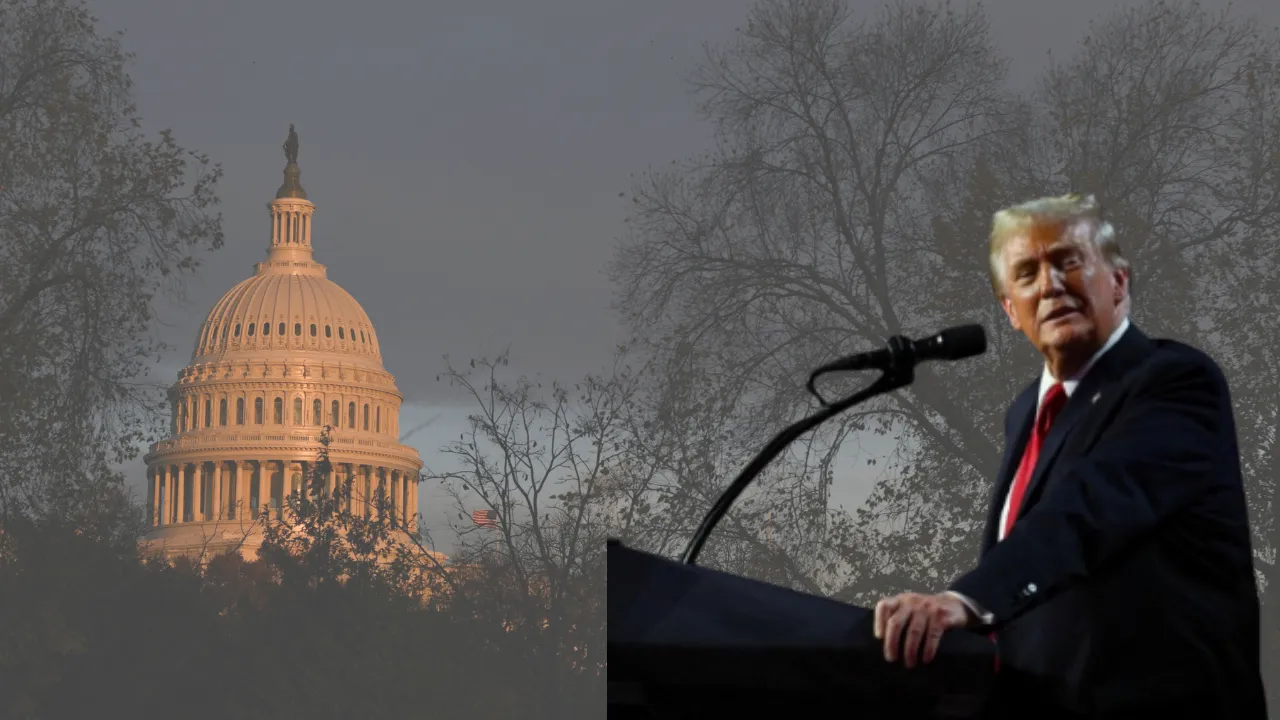  US President-elect Donald Trump Photograph: (Reuters) 