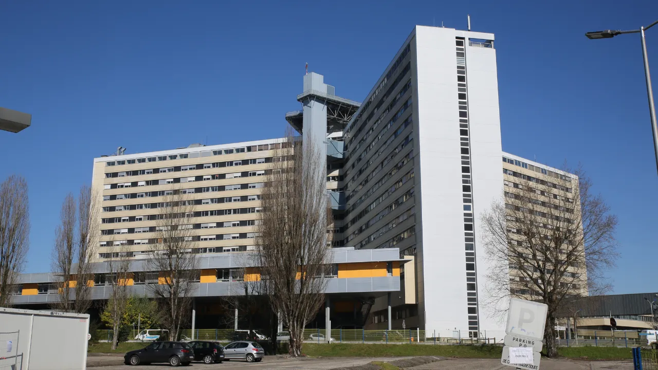  The woman, identified as Priscilla Dray, suffered from septic shock after she went Pellegrin University Hospital (pictured) in Bordeaux for an abortion in 2011. Photograph: (Wikipedia) 
