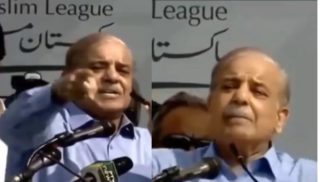 'Will Surpass India': Shehbaz Sharif’s audacious claim sparks debate, video goes viral Photograph: (x: @NMukherjee6 ( Screen grab)) 