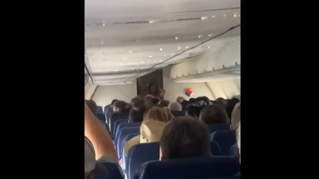  Passenger on board a Southwest Airlines were horrified by the striptease. Photograph: (X) 