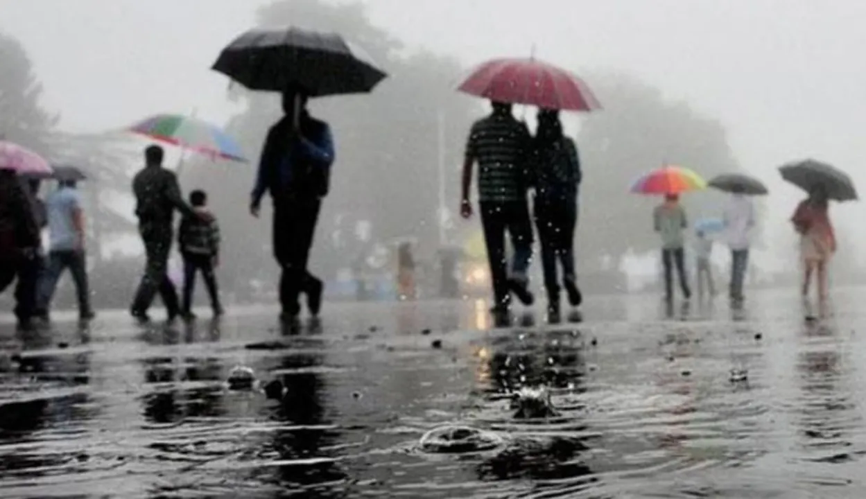  Rains Photograph:(Zee News Network) 