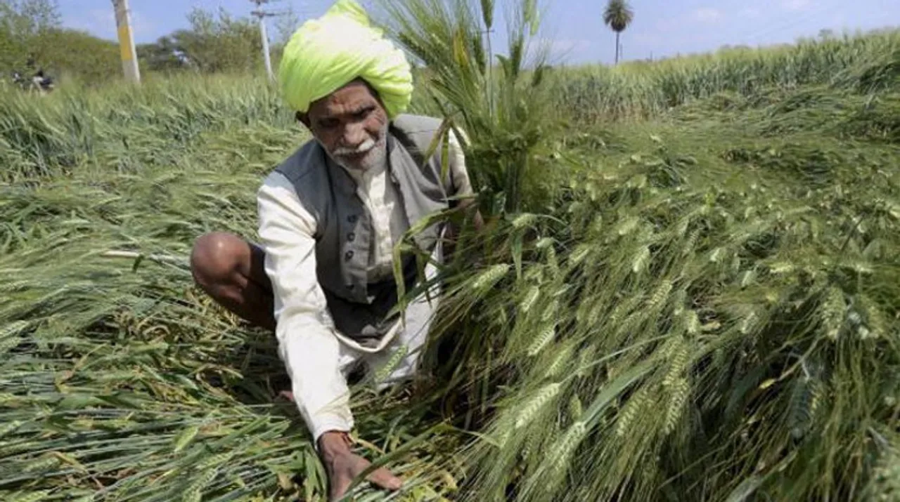  Crop insurance Photograph:(Zee News Network) 