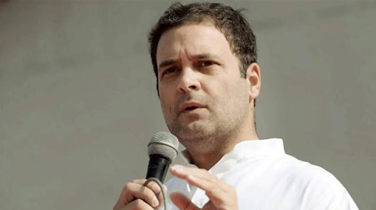  Rahul Gandhi Photograph:(Zee News Network) 