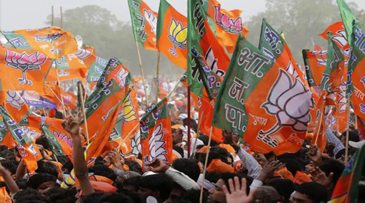  File Photo: BJP-Flag Photograph:(PTI) 