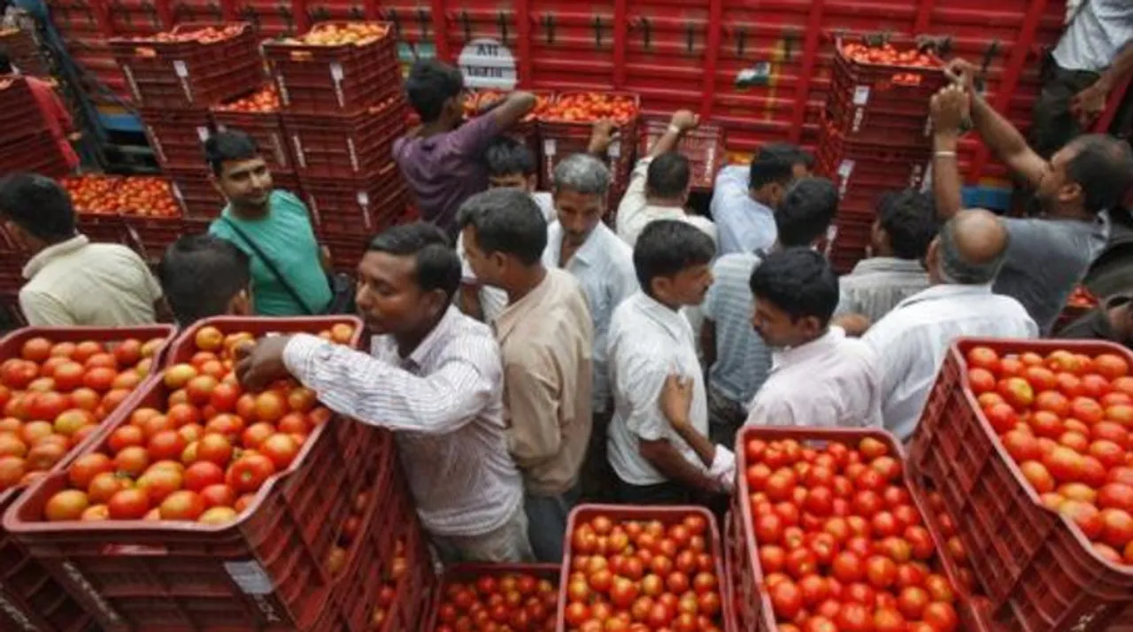 tomatoes-news-latest-tomatoes-news-breaking-tomatoes-news-tomatoes
