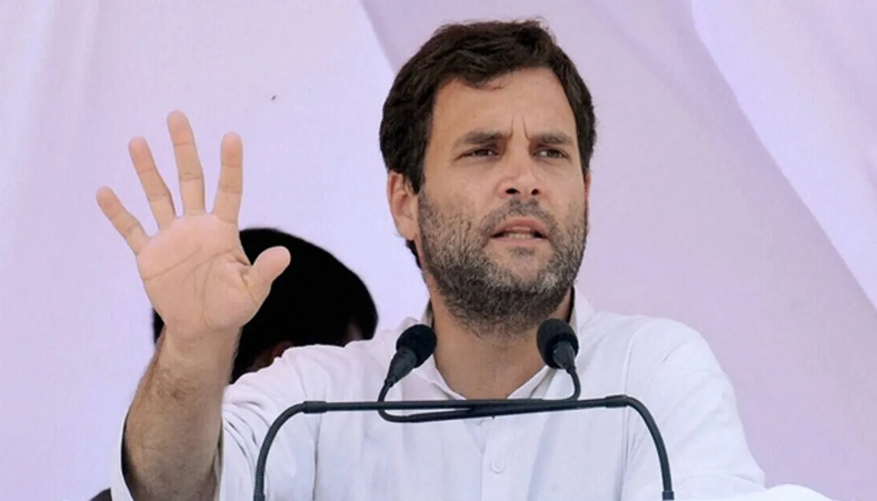  Rahul Gandhi Photograph:(Zee News Network) 