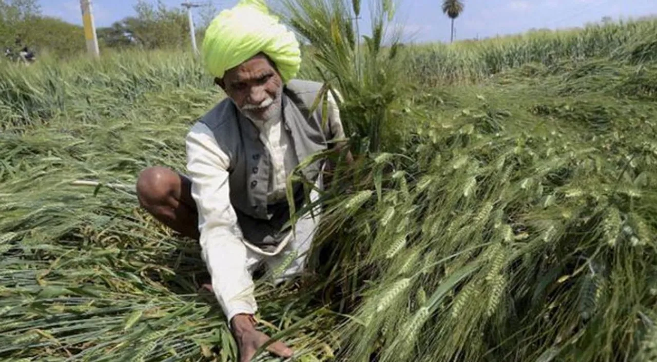  Budget 2018: Govt is focusing on rural and agricultural economy, says Arun Jaitley Photograph:(WION) 