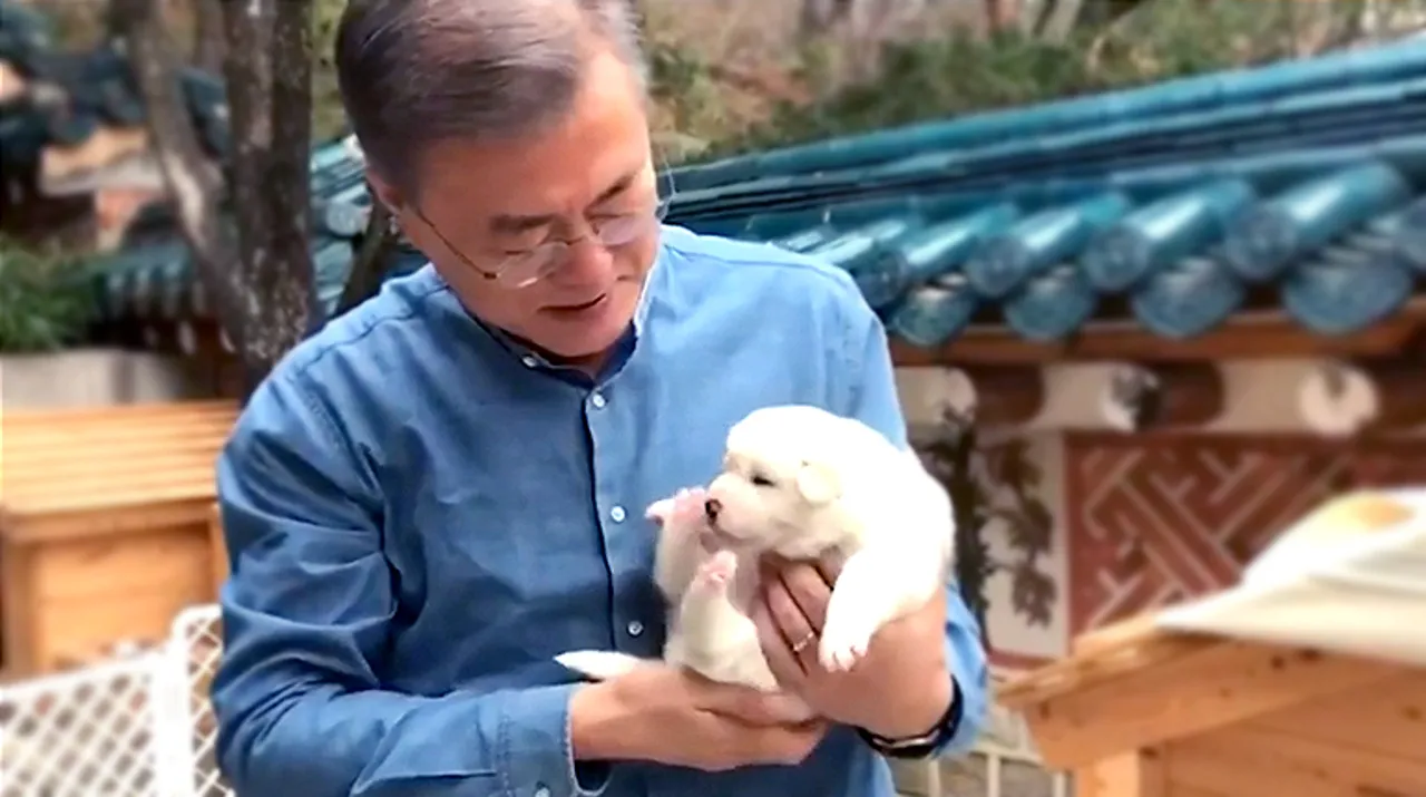  Puppy diplomacy: Dogs gifted by North Korea gives birth in the South Photograph:(Reuters) 
