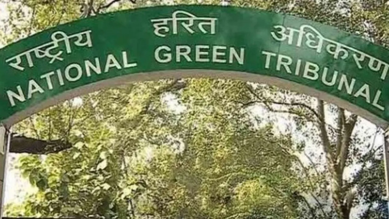  National Green Tribunal (NGT) Photograph:(ANI) 