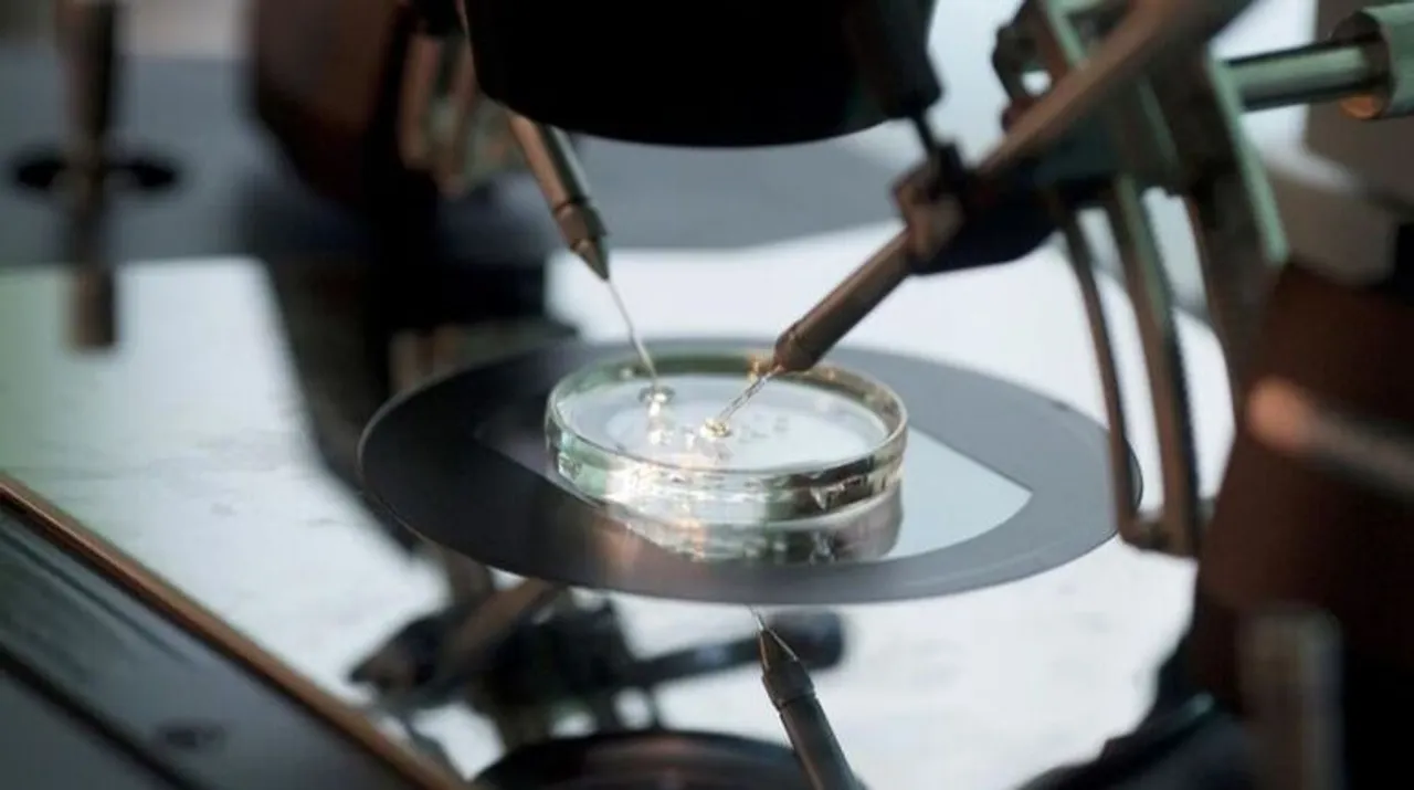 IVF Photograph:(Reuters) 