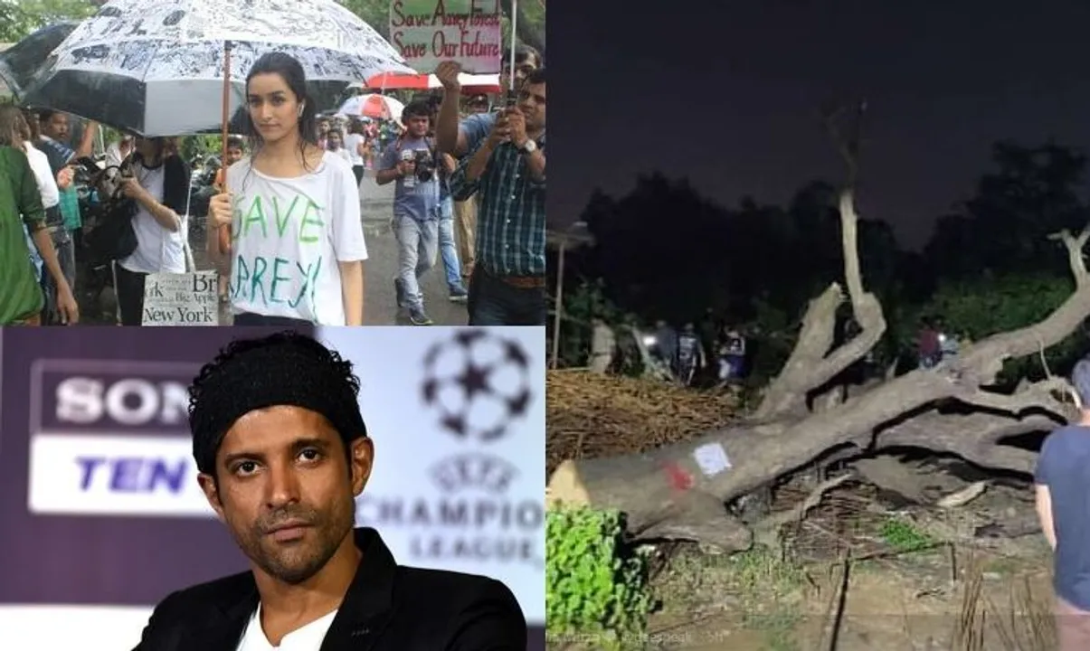  Shraddha Kapoor, Farhan Akhtar anger over slashing trees Photograph:(X) 