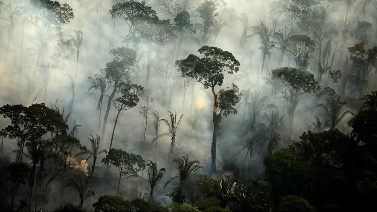  Amazon Rainforest Fire  Photograph:(Reuters) 