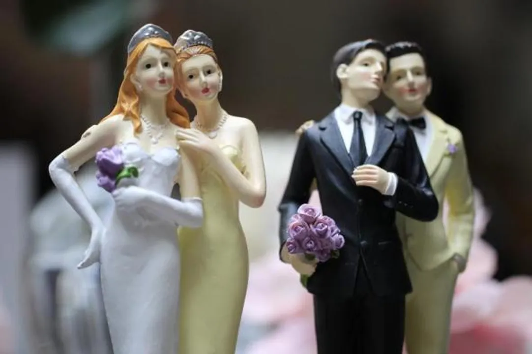  Same sex marriage Photograph:(Reuters) 