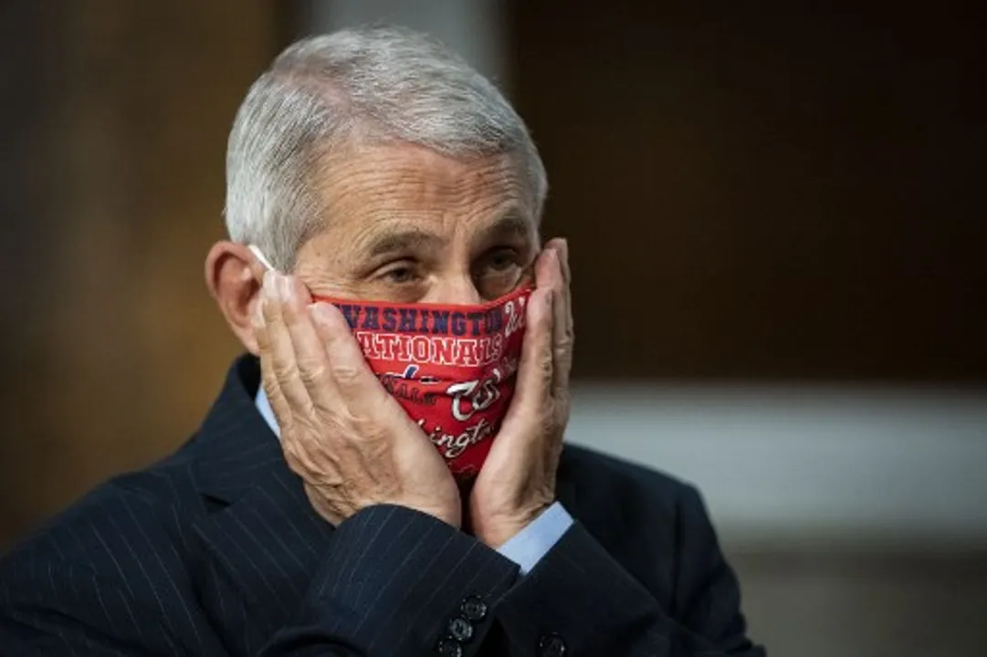  Dr Anthony Fauci (file photo) Photograph:(AFP) 