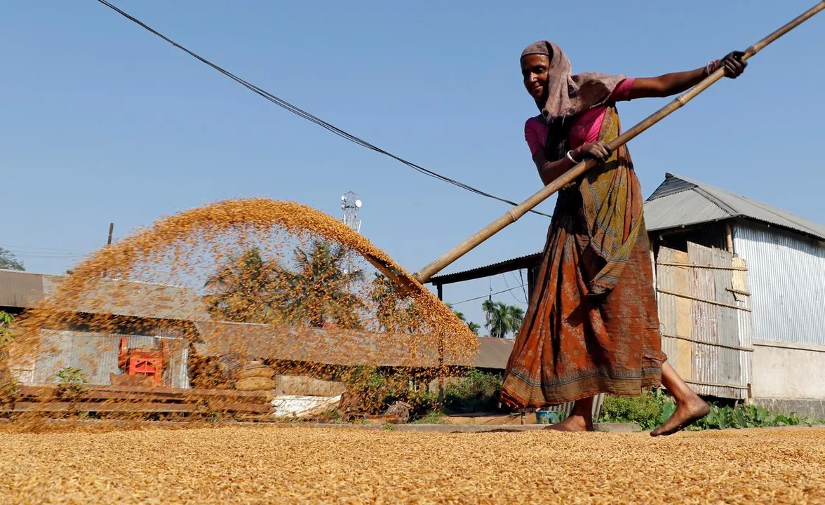  Rural India Photograph:(Reuters) 