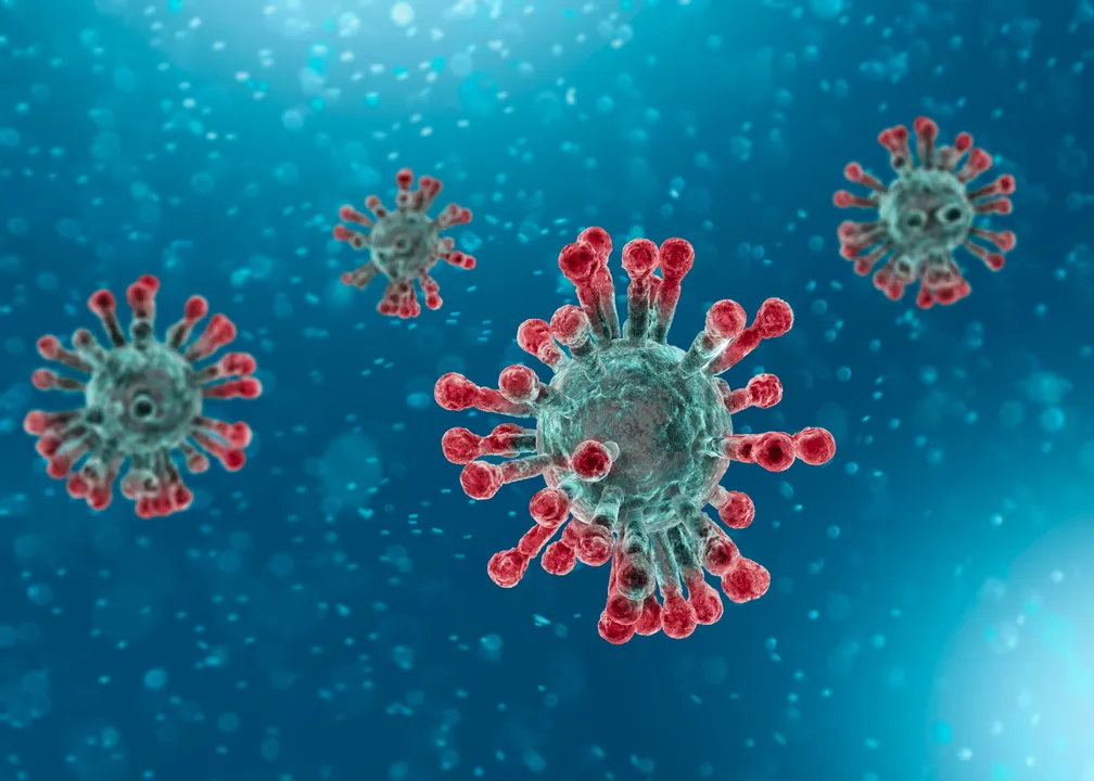  The novel coronavirus Photograph:(Reuters) 