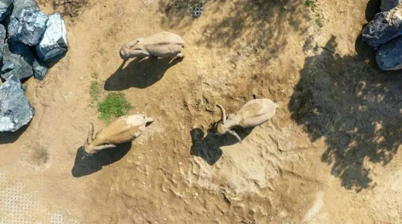  Satellite imagery Photograph:(AFP) 