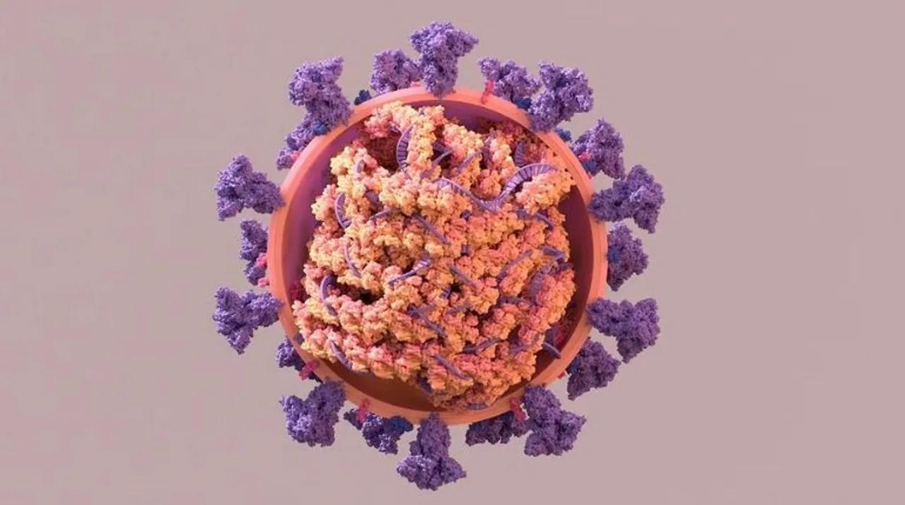  The test must be carried out under the supervision of a licensed health care provider and can be performed in settings where the patient samples are both collected and analysed, such as doctor's offices, hospitals, and mobile testing locations. Photograph:(X) 