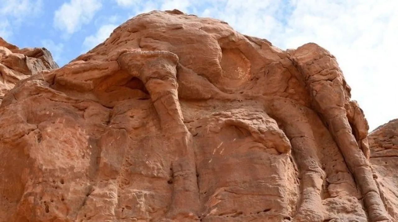  Camel Site Photograph:(X) 