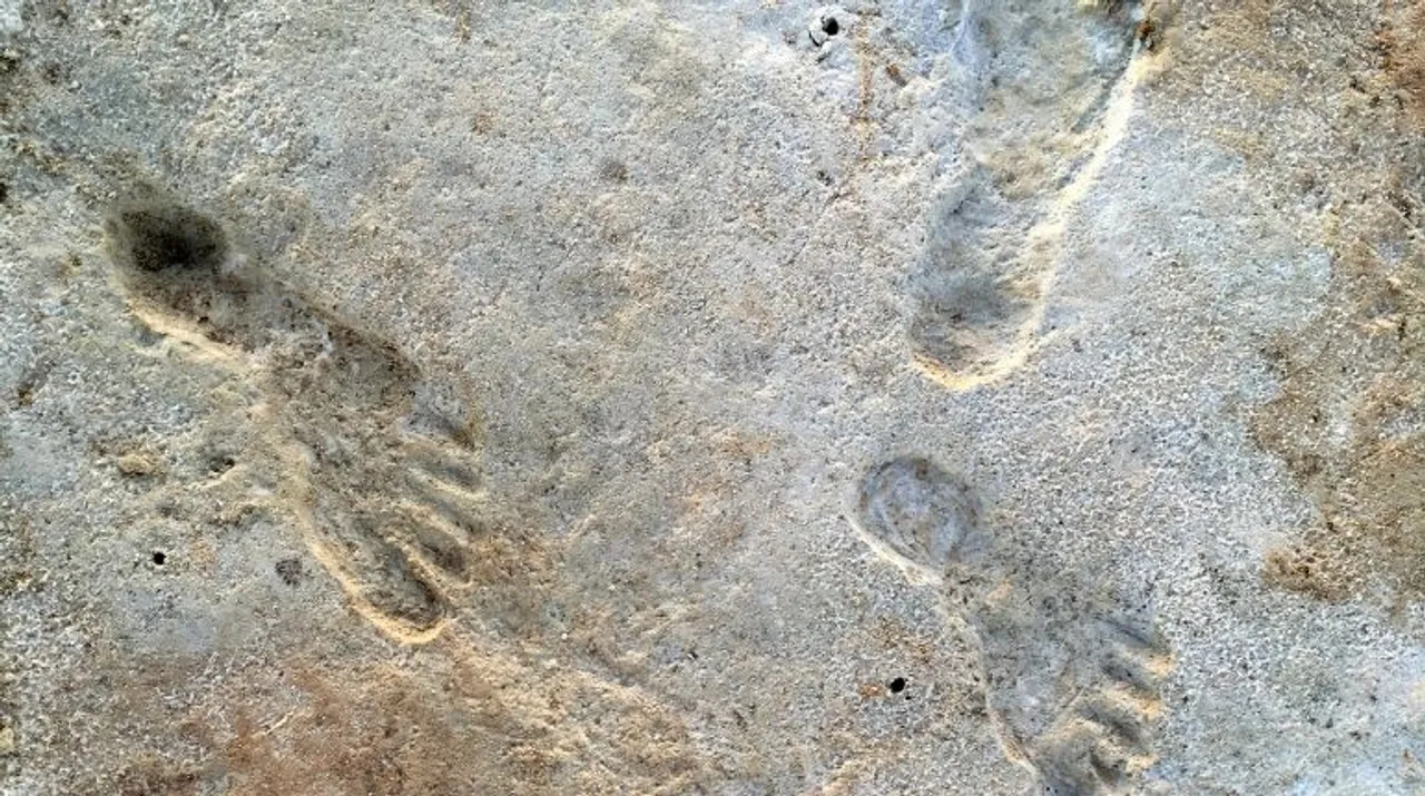  Human footprints Photograph:(The New York Times) 